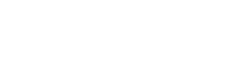 Vizard